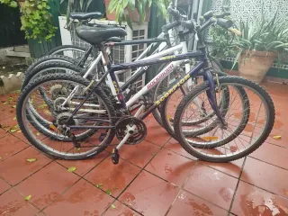 Bicicleta Montaña