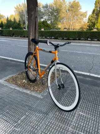 Bicicleta paseo
