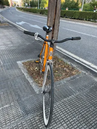 Bicicleta paseo