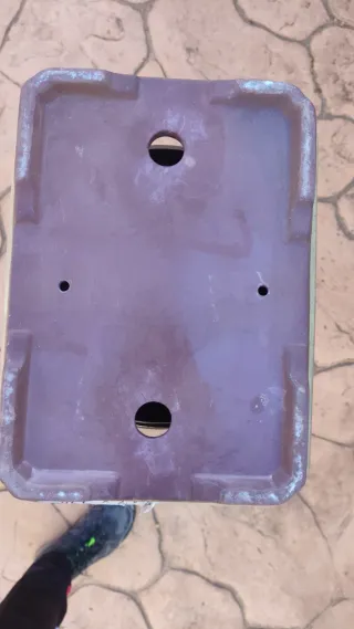 Maceta Bonsái Cerámica 30cm Crema