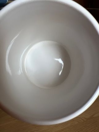 Taza VR46 9º Título Mundial + Lata Monster