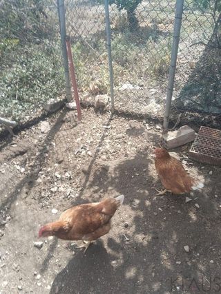 Terreno en venta en Nord en Sant Carles de la Ràpita