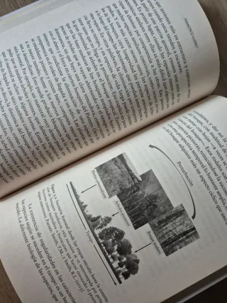 La muerte de los bosques