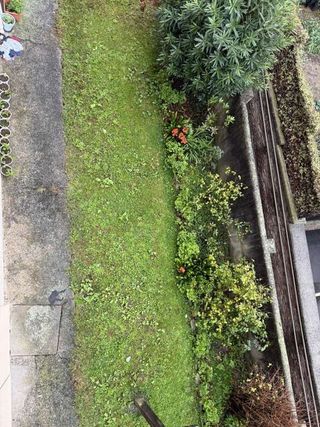 Piso en alquiler en Ategorrieta - Ulia en San Sebastián-Donostia