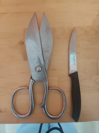 Tijeras de pollería profesionales