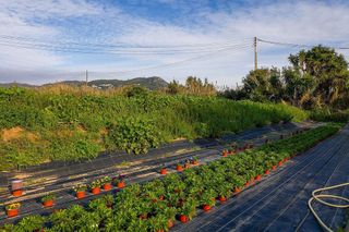 Terreno en venta en Vilassar de Mar