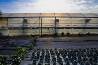 Terreno en venta en Vilassar de Mar