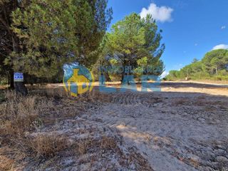 Terreno en venta en Bonares