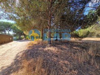 Terreno en venta en Bonares