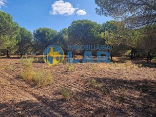 Terreno en venta en Bonares