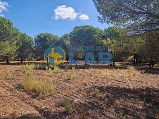 Terreno en venta en Bonares