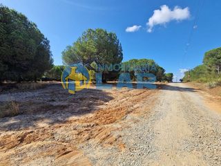 Terreno en venta en Bonares