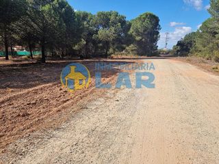 Terreno en venta en Bonares