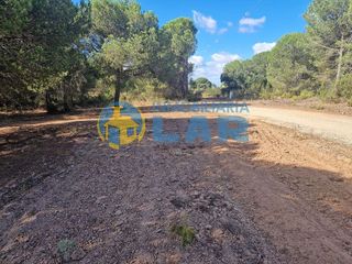 Terreno en venta en Bonares