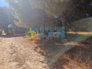 Terreno en venta en Bonares