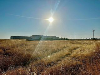 Terreno en venta en Carlota (La)