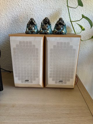 Altavoces pasivos JVC