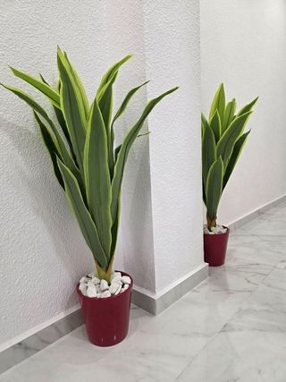 Piso en venta en Playa del Cura en Torrevieja