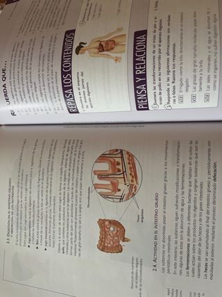 Imagen corporal y hábitos saludables (Spanish E...