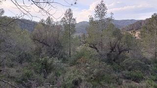 Terreno en venta en Móra d´Ebre