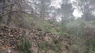 Terreno en venta en Móra d´Ebre