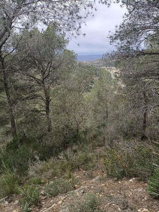 Terreno en venta en Móra d´Ebre