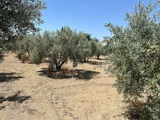 Terreno en venta en Zubia (La)