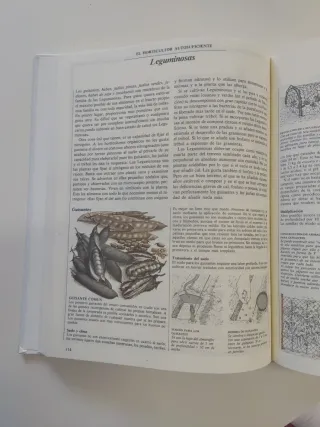 Gu¡a práctica ilustrada. Horticultor autosufici...