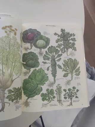 Gu¡a práctica ilustrada. Horticultor autosufici...