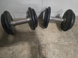 Mancuernas 20 kg (par)