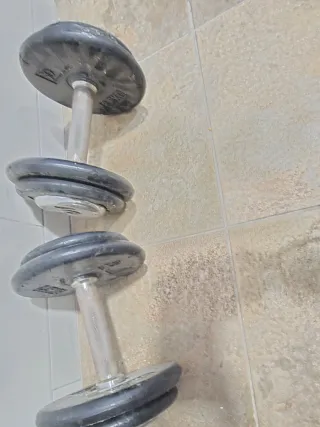 Mancuernas 20 kg (par)