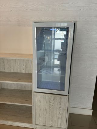Nevera expositora Polar