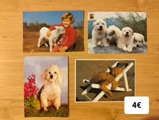 Postales Variadas (23)