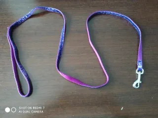 Arnés sencillo para mascotas