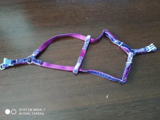 Arnés sencillo para mascotas