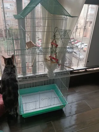 Jaula grande para pájaros