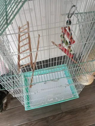 Jaula grande para pájaros