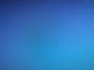 Asus Eee PC 901 Blanco 64gb