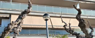 2 Toldos Extensibles Exteriores Beige