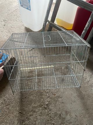 Jaula grande para pájaros con pie y nido