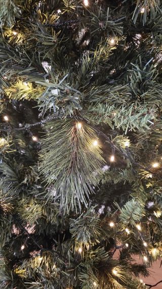 Albero di Natale con luci