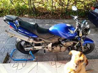 Honda Hornet CB600F Naked