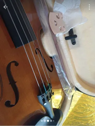 Violino Golden Leaf R-20MB