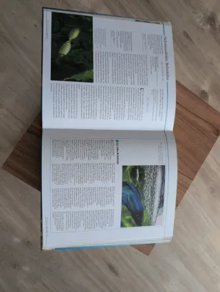 Atlas ilustrado del acuario (Spanish Edition)