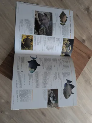 Atlas ilustrado del acuario (Spanish Edition)