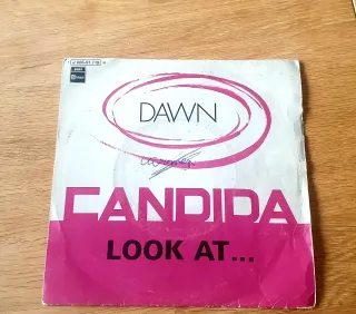 Lote 12 Vinilos Singles Pop Rock Latino