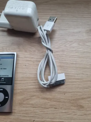 Apple iPod A1320 Plata