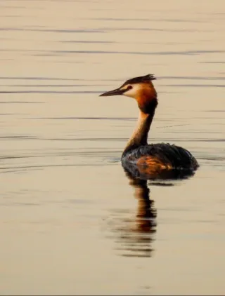 Kodak Pixpro AZ528 Fotocamera Digitale