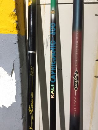 Cañas y carretes de pesca variados