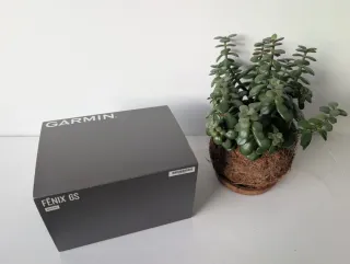 Reloj Garmin Fénix 6S Sapphire